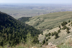 IMG_1303-Copy