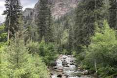 IMG_1371-Copy