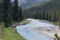 IMG_1571-Copy